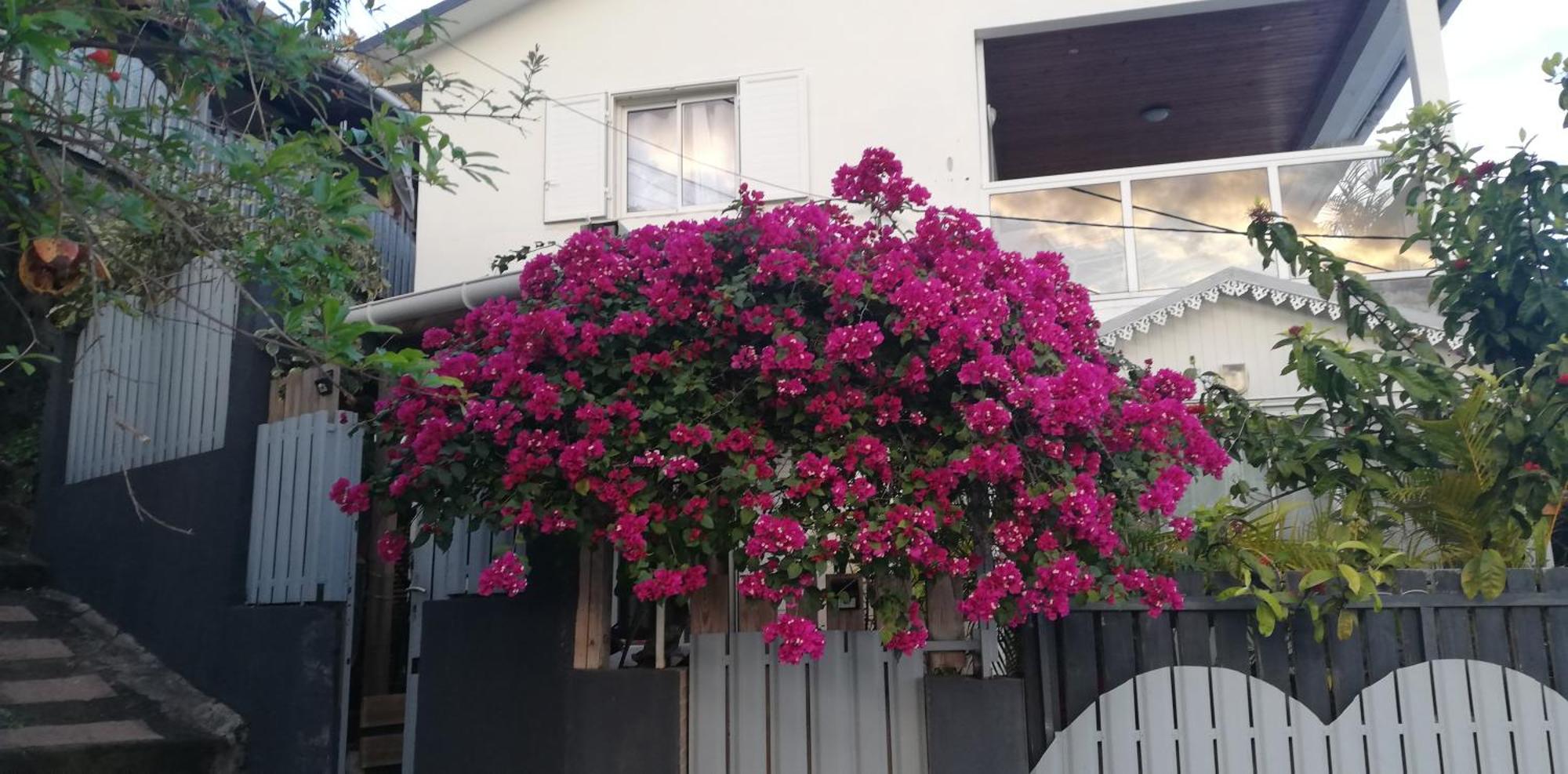 La Caz A Nou Apartment แซ็ง-ปีแยร์ ภายนอก รูปภาพ
